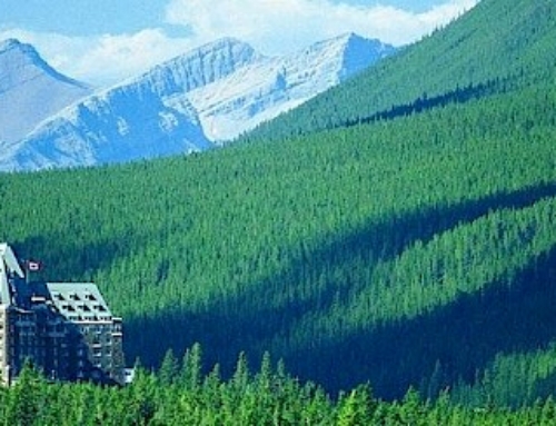 Vivametrica to present at the Banff Venture Forum